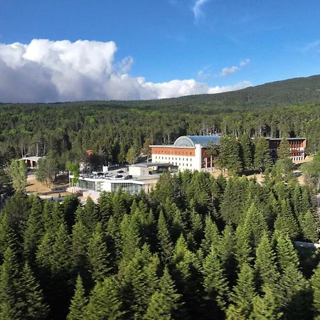 Swissotel Uludag ブルサ エクステリア 写真