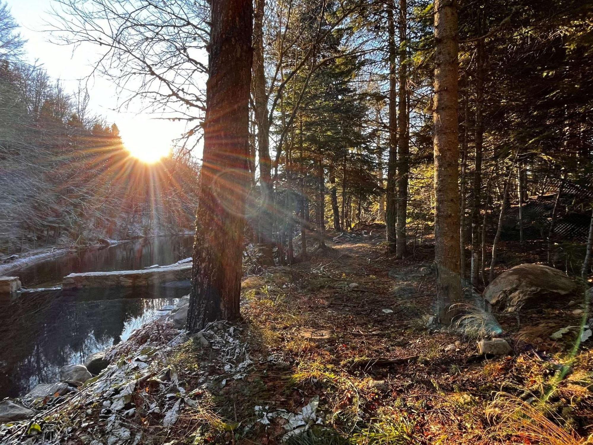 Swissotel Uludag ブルサ エクステリア 写真